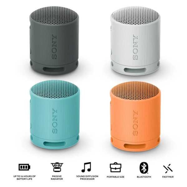 Sony SRS XB100 Wireless Bluetooth Portable Speaker