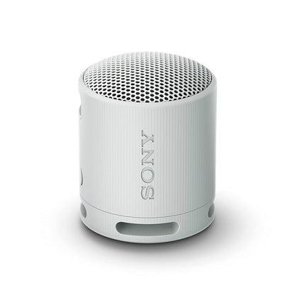 Sony SRS XB100 Wireless Bluetooth Portable Speaker