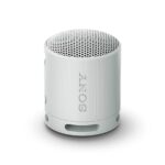 Sony SRS XB100 Wireless Bluetooth Portable Speaker