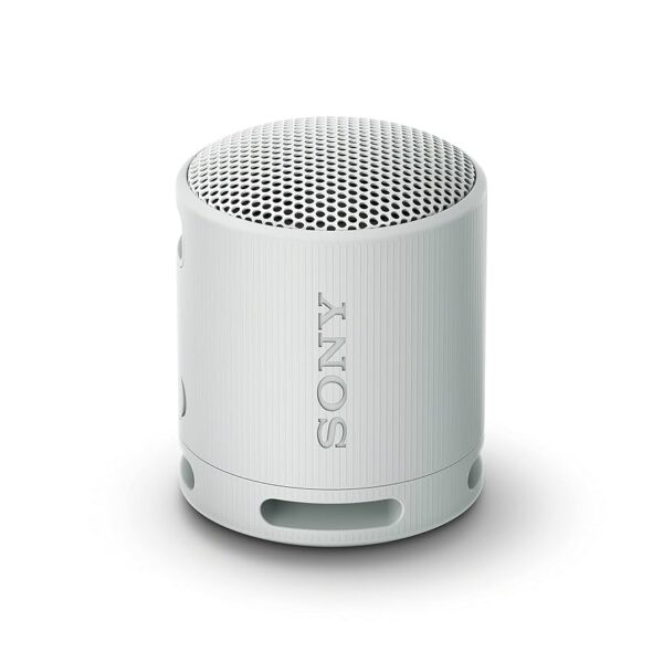 Sony SRS XB100 Wireless Bluetooth Portable Speaker