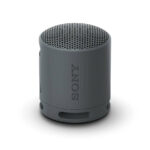 Sony SRS XB100 Wireless Bluetooth Portable Speaker