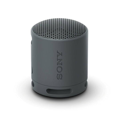 Sony SRS XB100 Wireless Bluetooth Portable Speaker