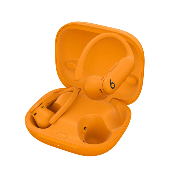 Beats Powerbeats Pro 2 Wireless Bluetooth Earbuds