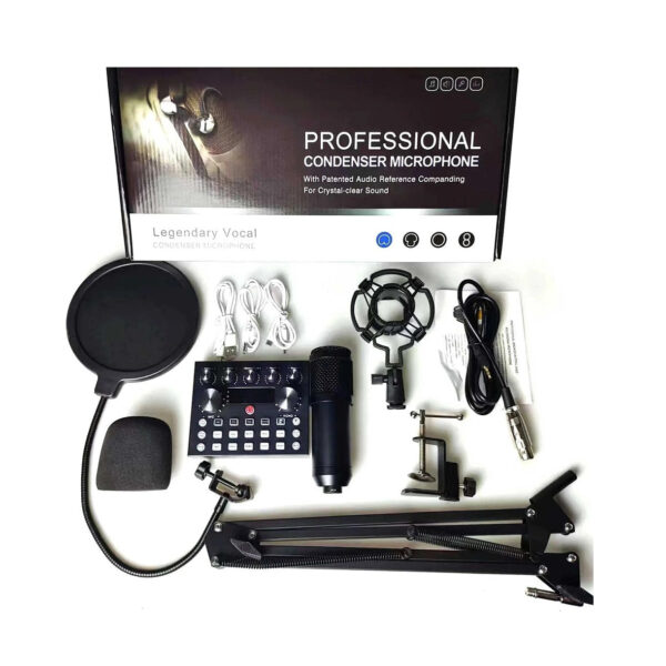 Professional Condenser Microphone V10