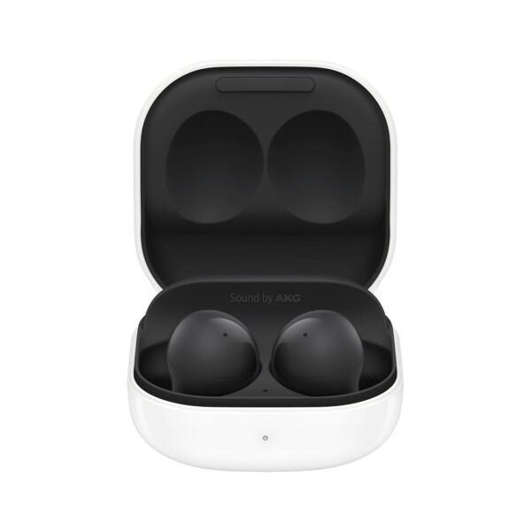 SAMSUNG Galaxy Buds 2 Earbuds