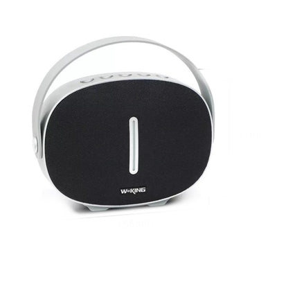 W-KING T8 30W Bluetooth Speaker